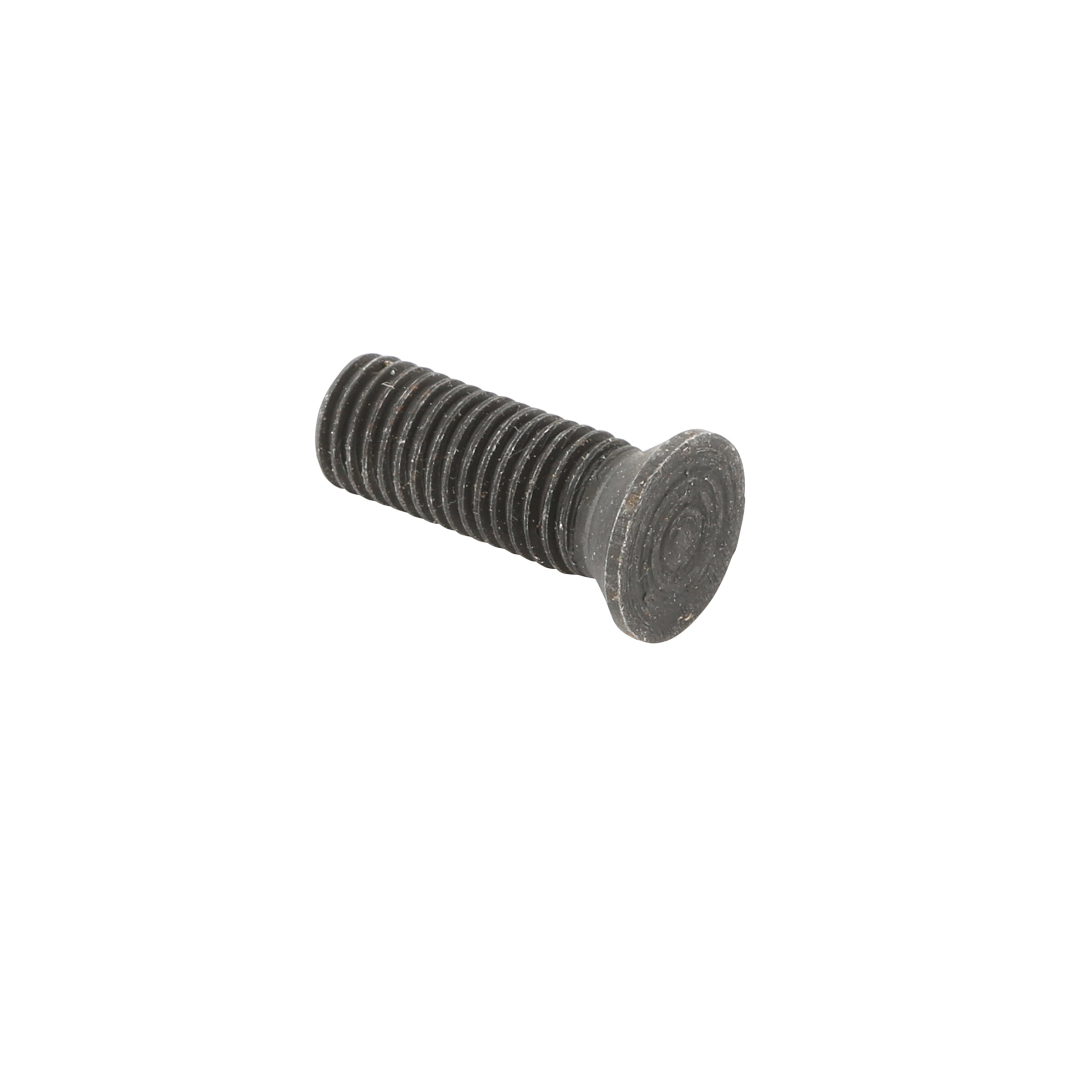 Door Hinge to Post Screw (5/16